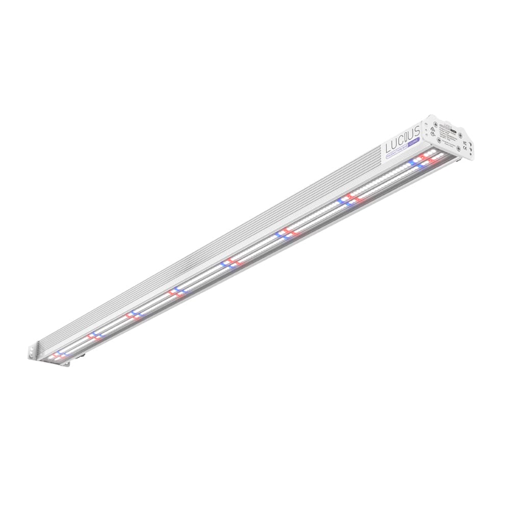 Lucius Production LED Bar Clone 80w