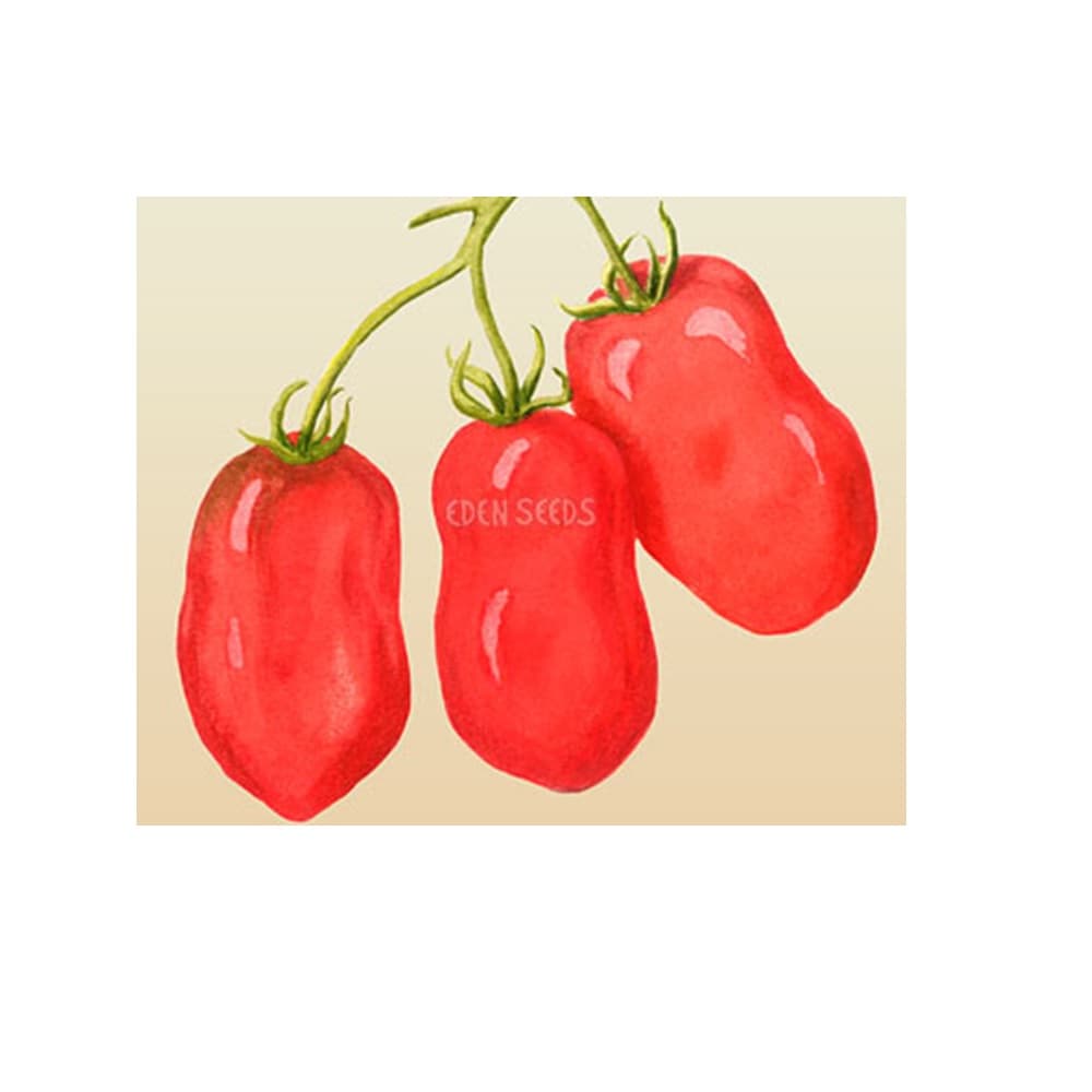 Eden Seeds Select Organic Tomato Roma