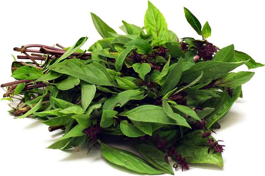 Eden Seeds Basil Thai