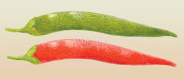 Eden Seeds Chilli Long Red Cayenne