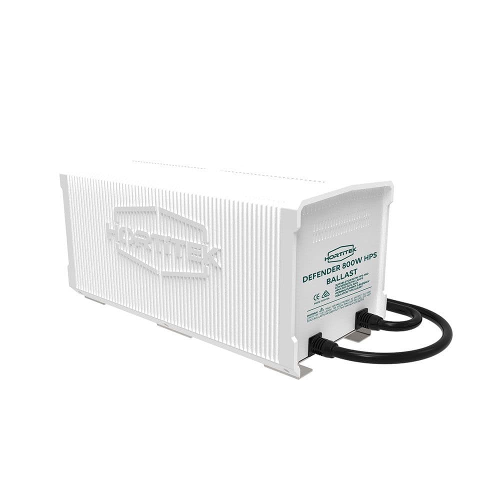 EP Magnetic Ballast HPS 800W