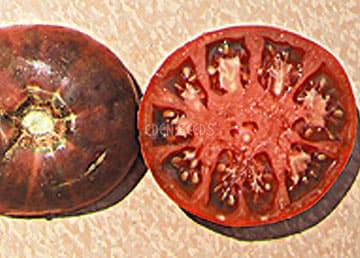 Eden Seeds Tomato Climbing Black Krim