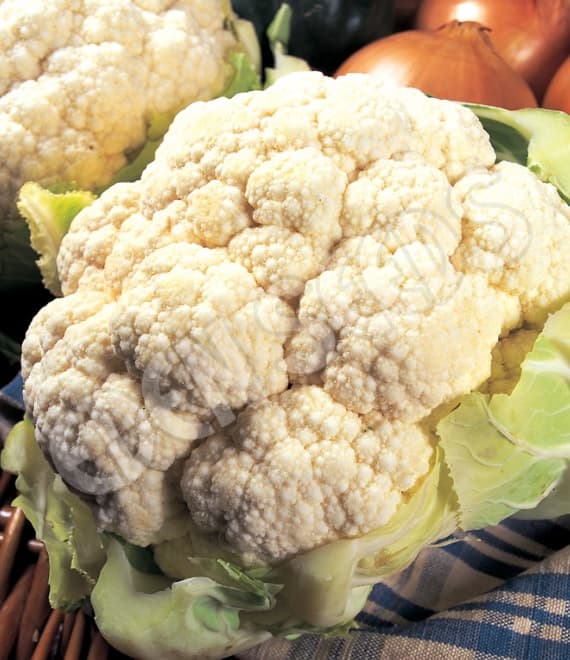 Eden Seeds Cauliflower All Year Round