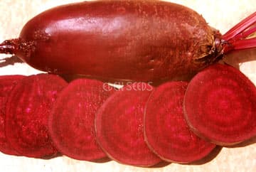 Eden Seeds Beetroot Cylindra