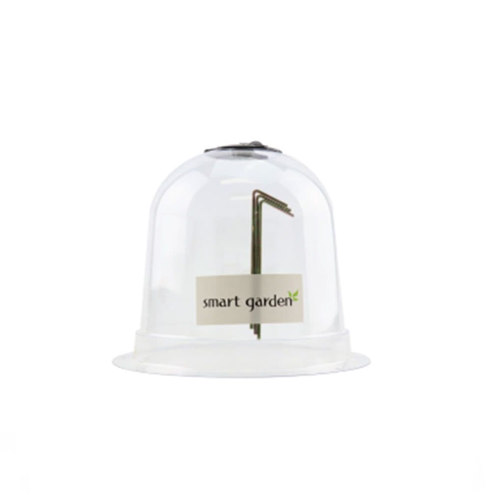 Propagation Bell 20 X 17 (A001)