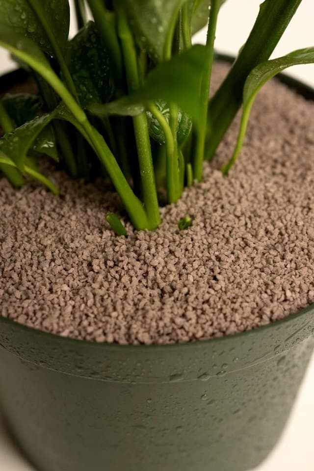 Pumice (1 - 7mm) 25L Fungus Gnat Barrier