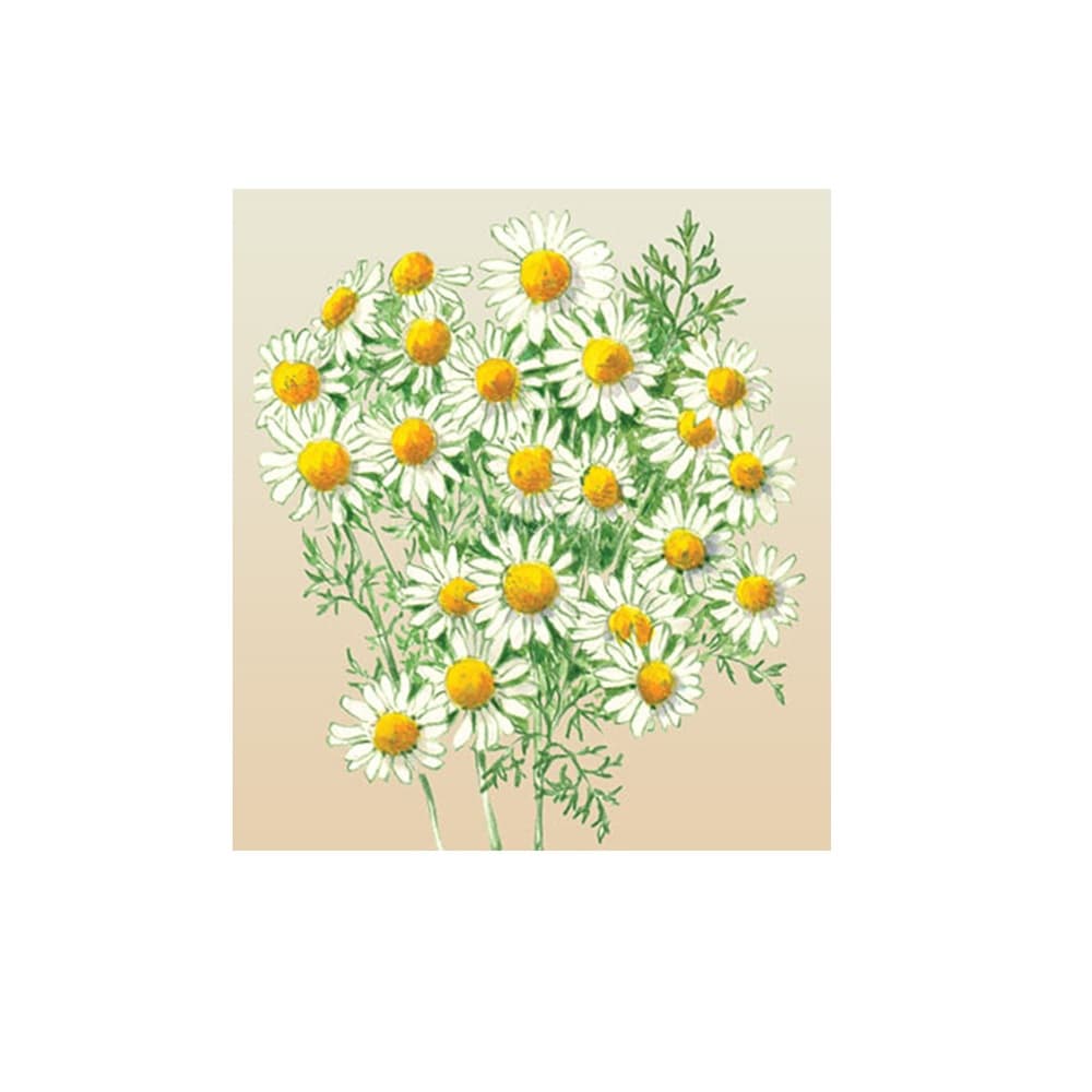 Eden Seeds Chamomile
