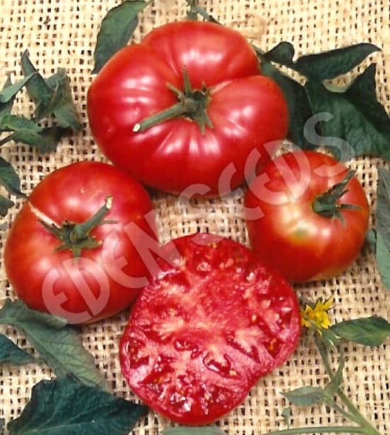 Eden Seeds Select Organic Tomato Brandywine