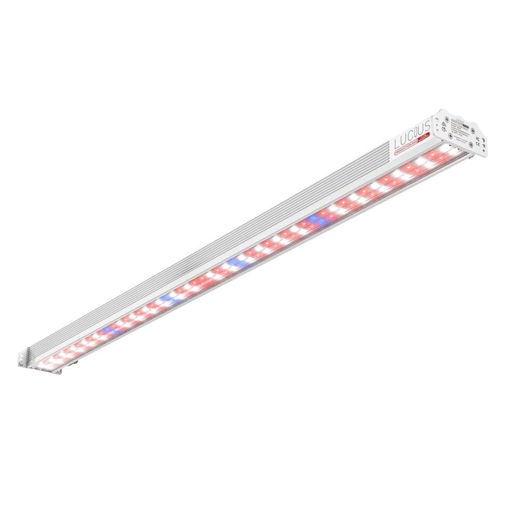 Lucius Production LED Bar Clone Enhancer 80w