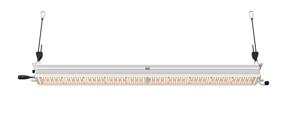 Lucius Bar R 240W LED