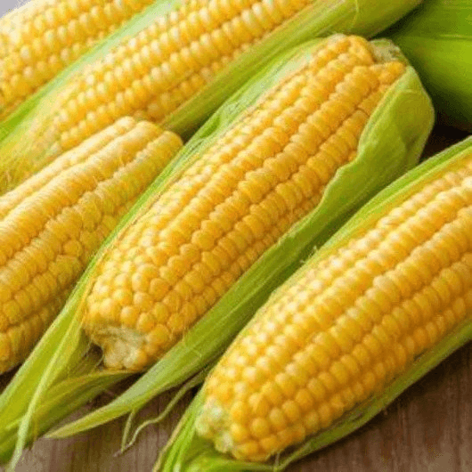 Eden Seeds Sweet Corn Jolly Roger