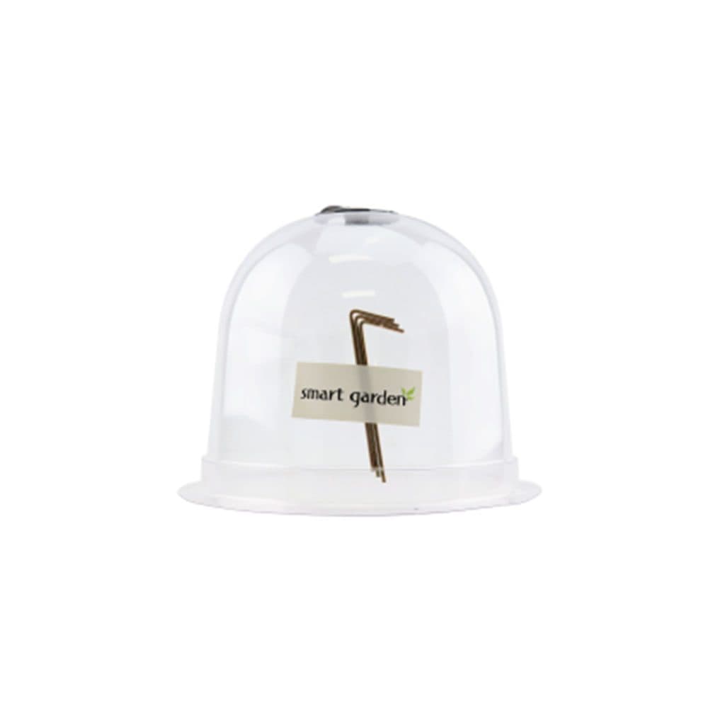 Ppropagation Bell 26 X 19cm