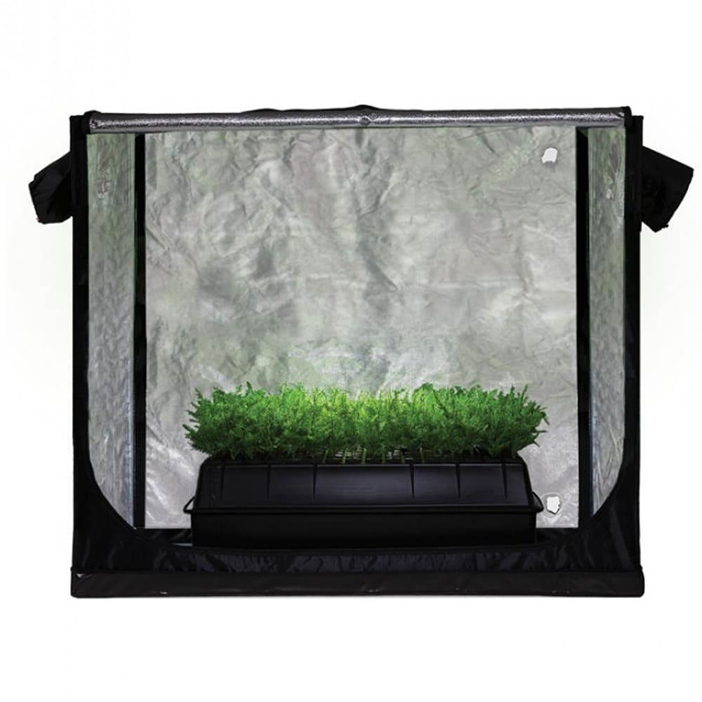 Jungle Room Tent 85x50x80cm
