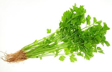 Eden Seeds Celery