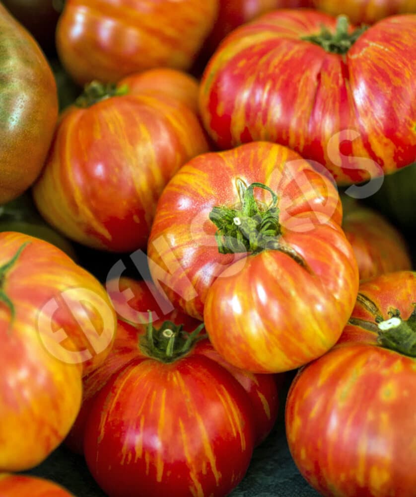 Eden Seeds - Tomato - Big Rainbow