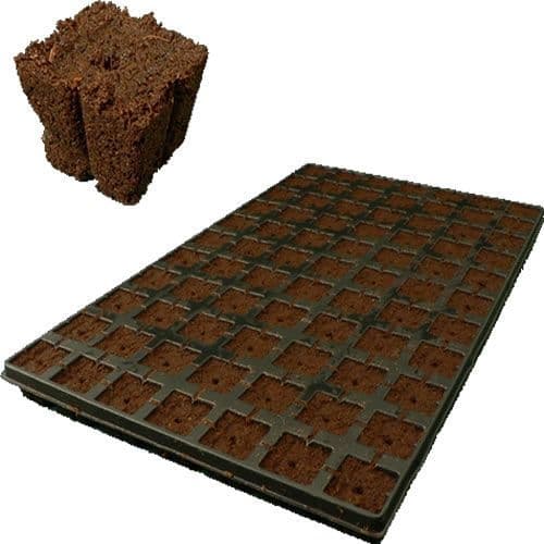 Eazy Plug - 77 Propagation Seedling Tray