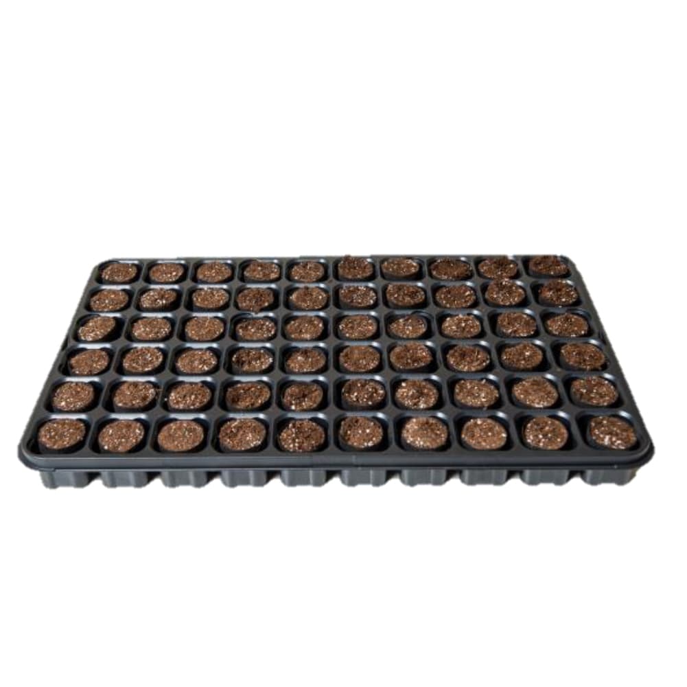 Fertil Fertiss Tray 60, 40x40mm plug