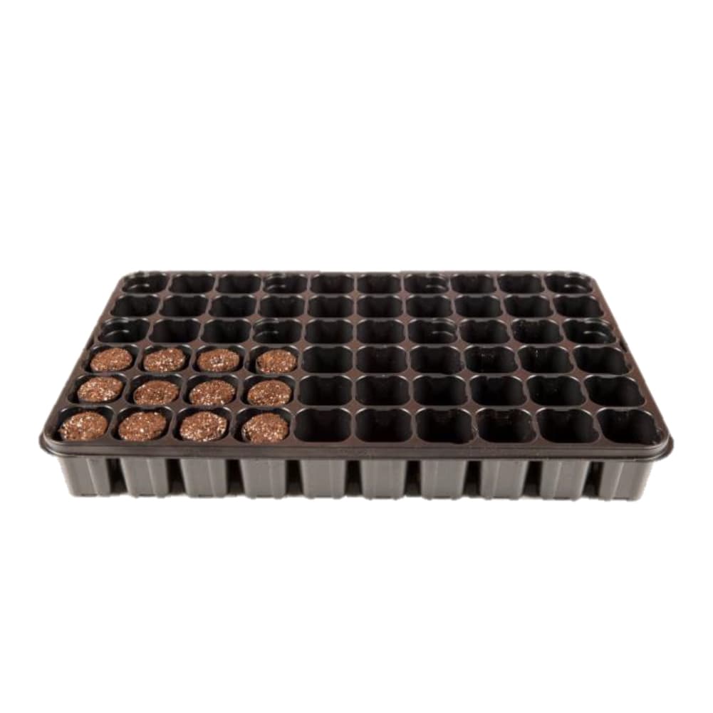 Fertil Fertiss Tray 60, 40x60mm plug