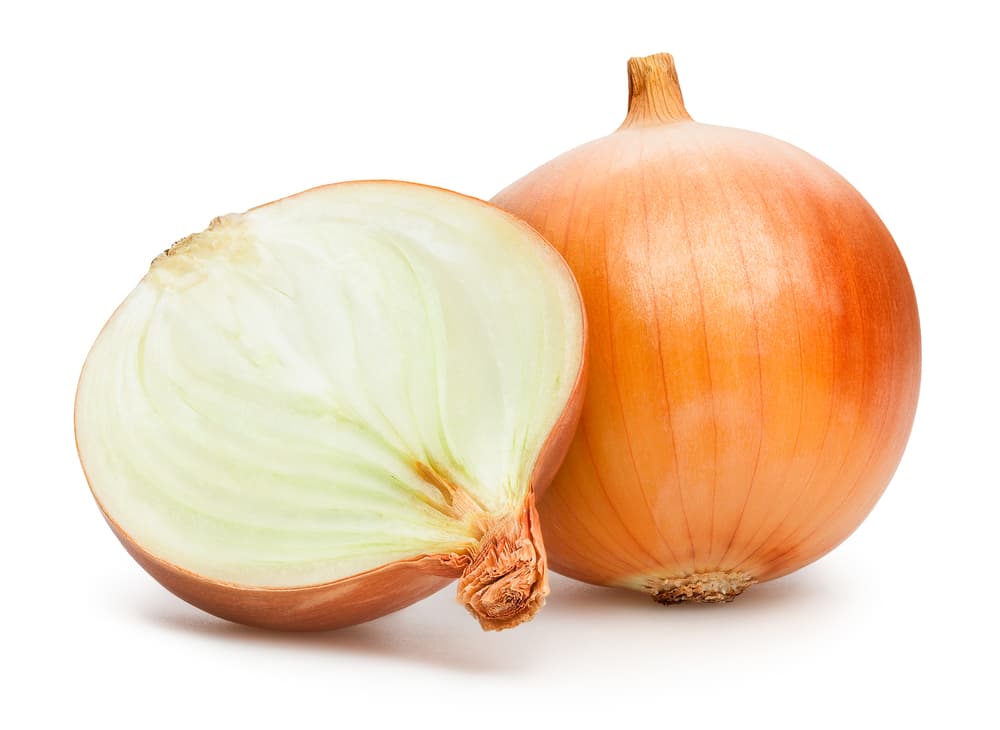 Eden Seeds - Onion - Gladalan Brown