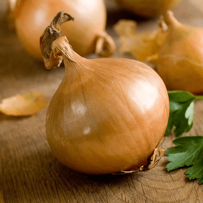 Eden Seeds - Onion Texas Early Grano