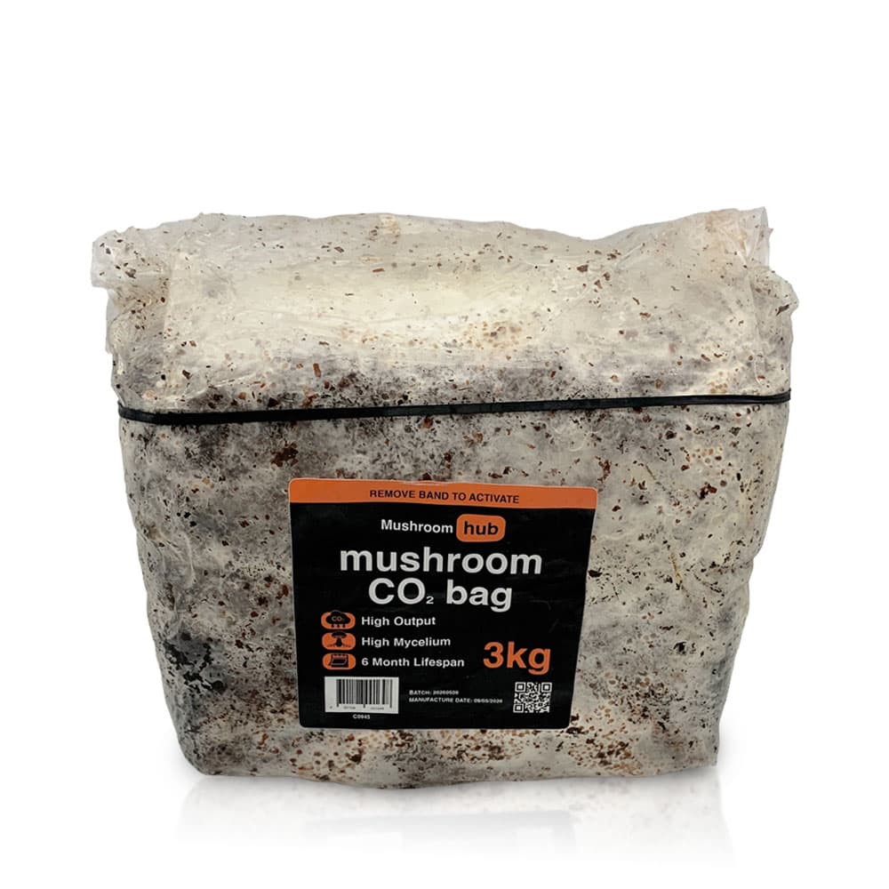 Mushroom Hub Mushroom XL CO² Bag 3KG