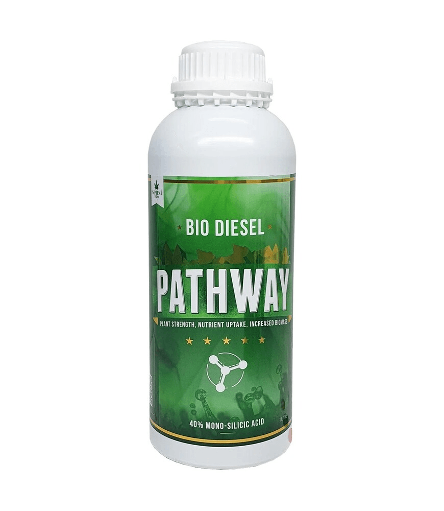 Bio Diesel Pathway 250mL