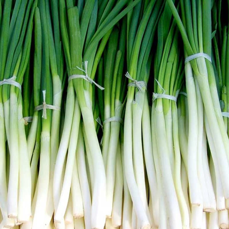 Eden Seeds - Shallots - White Lisbon