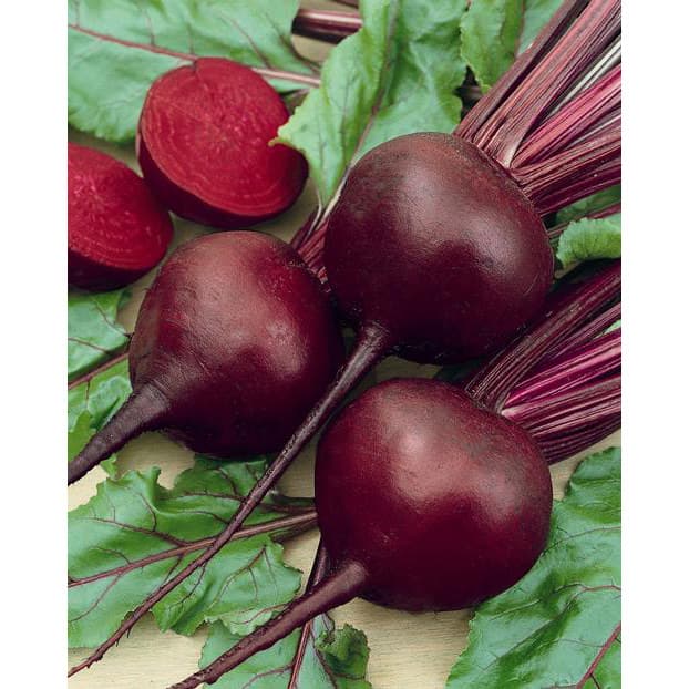 Eden Seeds - Beetroot - Detroit
