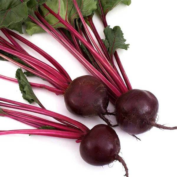 Eden Seeds Beetroot Early Wonder