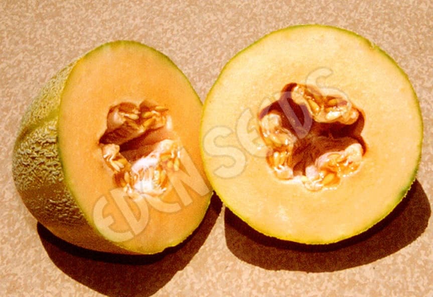 Eden Seeds Select Organic Rockmelon Hales best