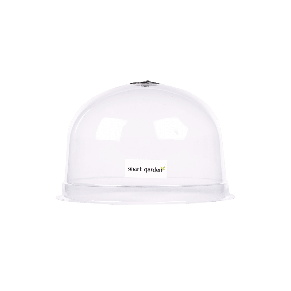 Ppropagation Bell 38.5 X 25cm