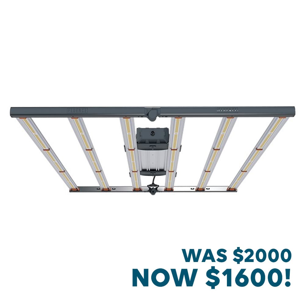 Fluence LED Spydr 2i