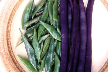 Eden Seeds Climbing Bean Purple King