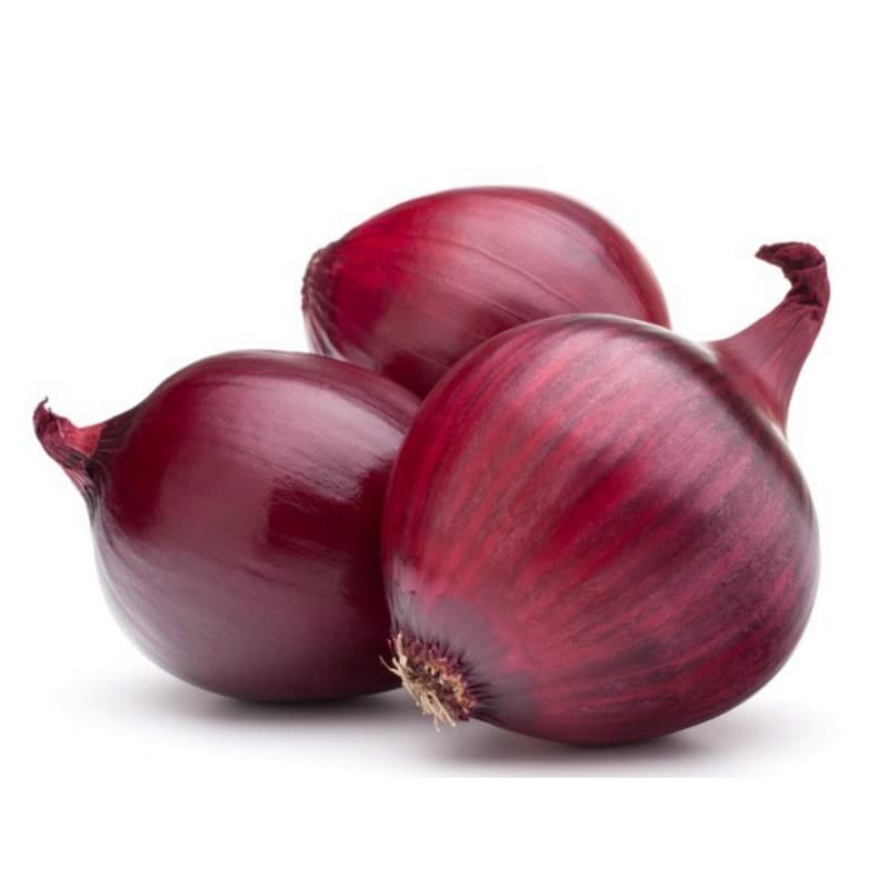 Eden Seeds Onion Red Brunswick