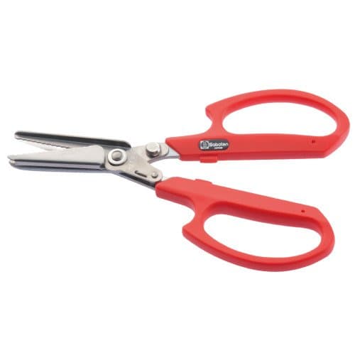 Saboten Catch Scissors