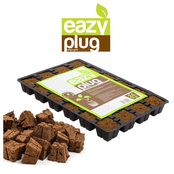 Eazy Plug - 24 Propagation