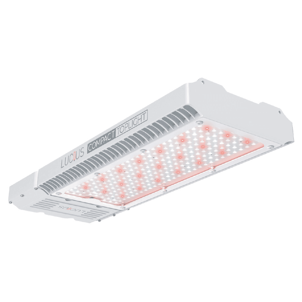 Lucius Compact Toplight LED W 840W