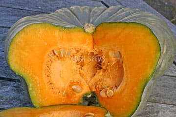 Eden Seeds Pumpkin Queensland Blue