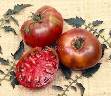 Eden Seeds Tomato Climbing Cherokee Purple