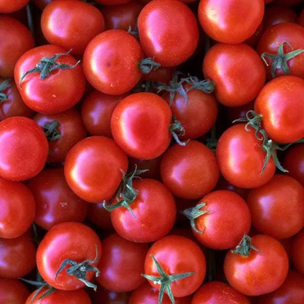 Eden Seeds Tomato Riesentraube