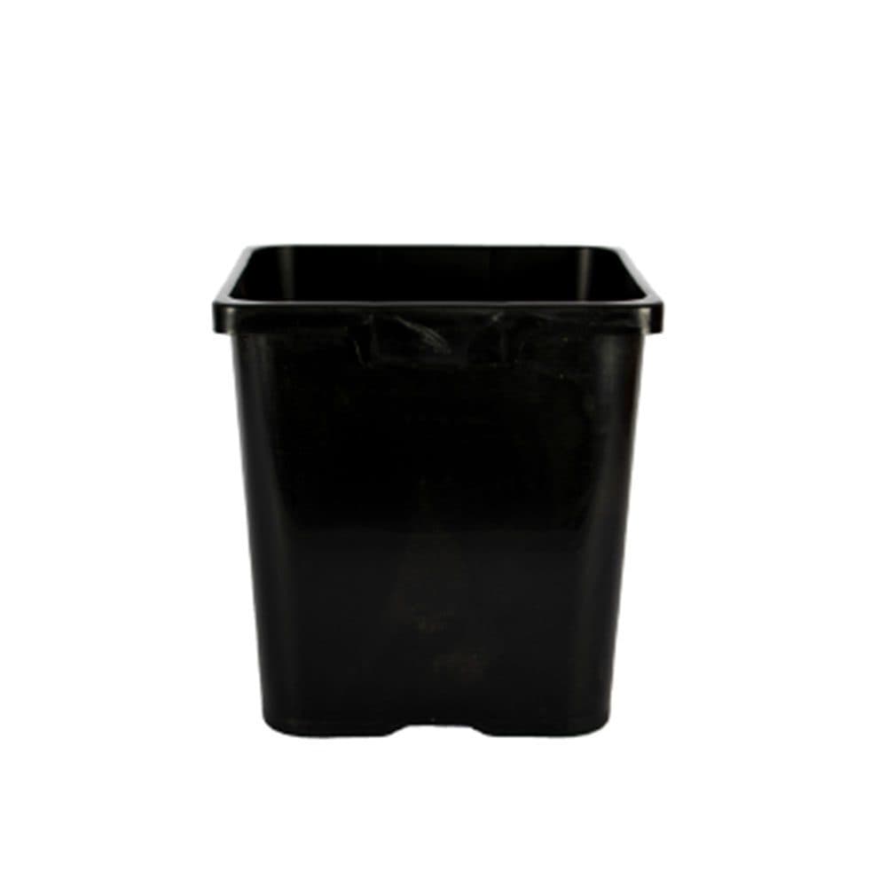 Pot Square 135mm 2L