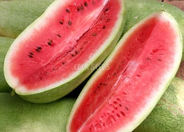 Eden Seeds Watermelon Charleston Grey (Candy Red)