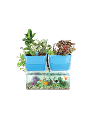 aquaponics kit - aqua indoor garden system hyalite australia
